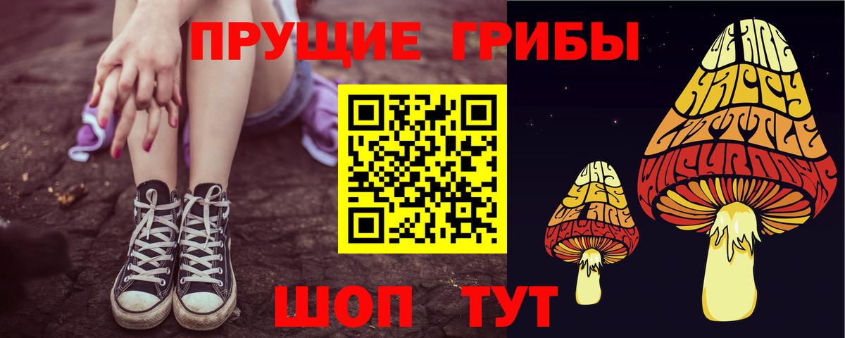Псилоцибиновые грибы GOLDEN TEACHER Ейск