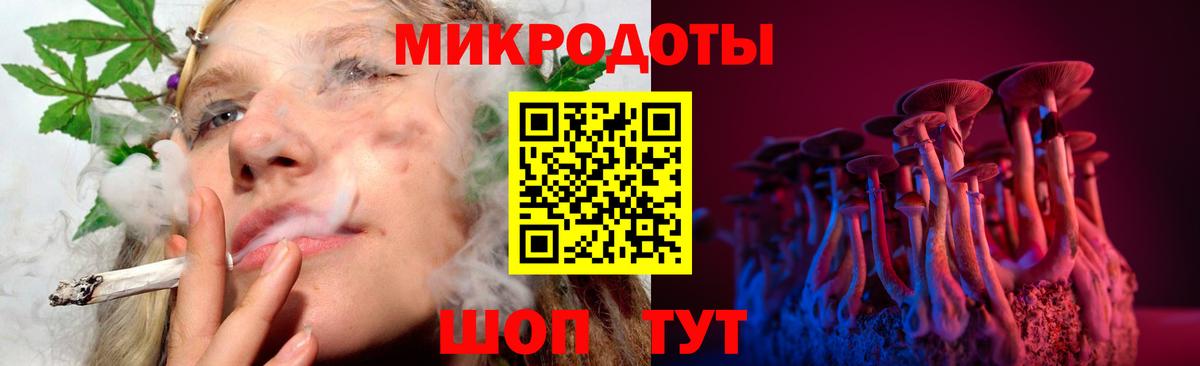 Псилоцибиновые грибы Cubensis  Вход с VPN  Ейск 